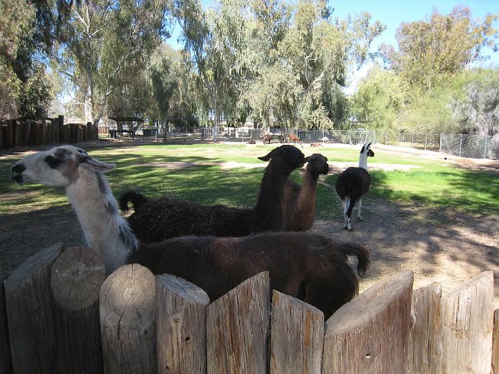 2nd Birthday at the zoo 42.JPG